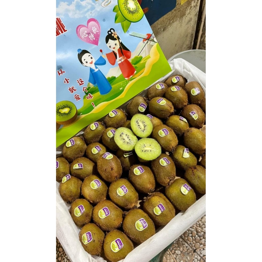 

BUAH KiWI/KG