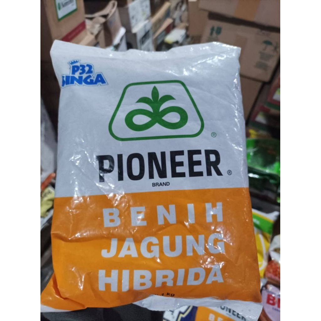 Benih Jagung P32 Singa 1 kg