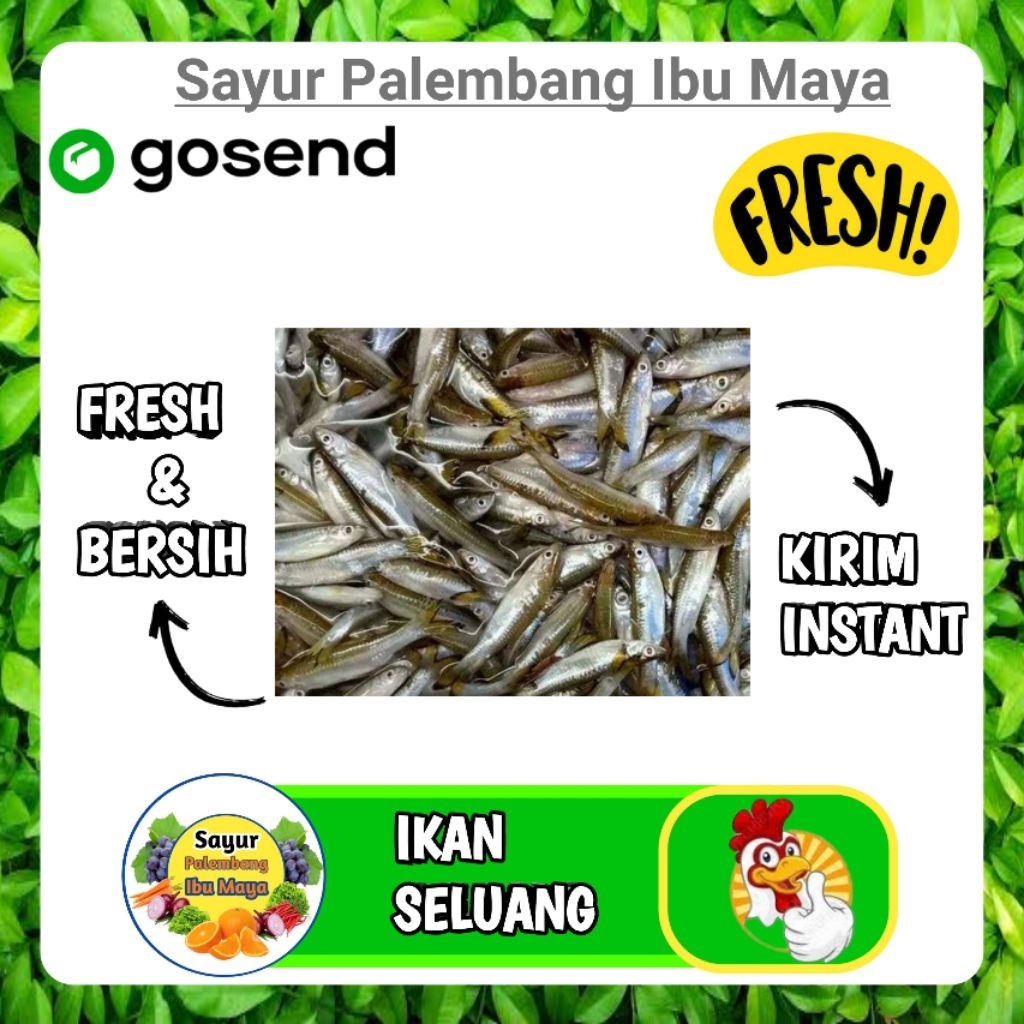 

Ikan seluang Segar - Sayur Palembang ibu maya