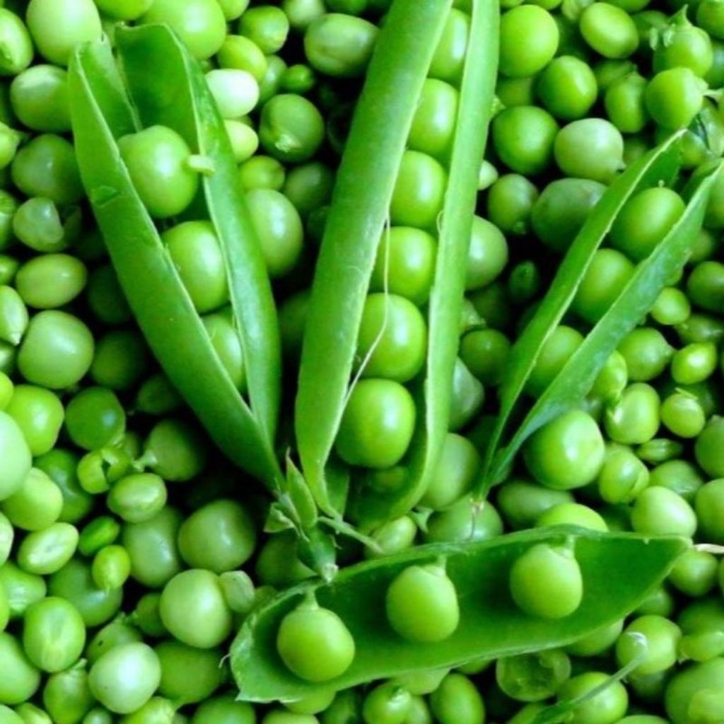 

biji benih kacang kapri sayuran hijau