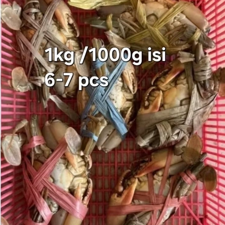 

Kepiting Bakau Segar 1Kg Isi 6-7 Ekor Daging Padat Fresh dari Tambak dan Alam