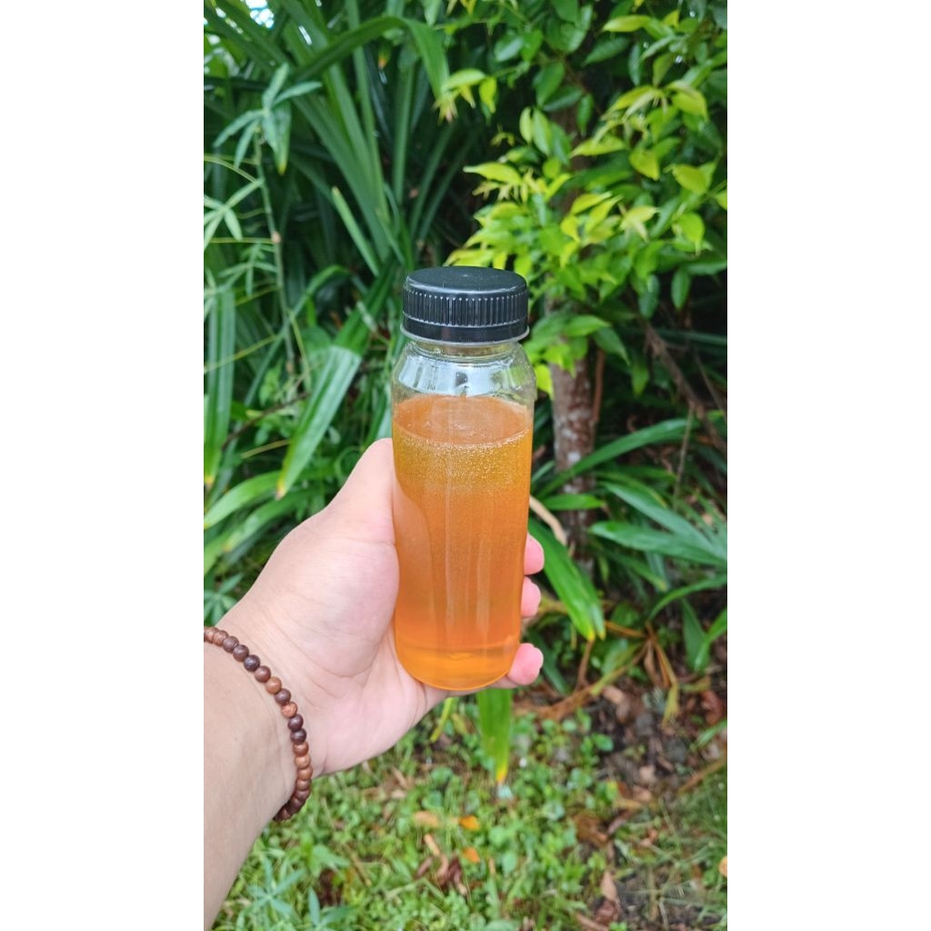 

MADU MURNI HUTAN LIAR SUMATERA