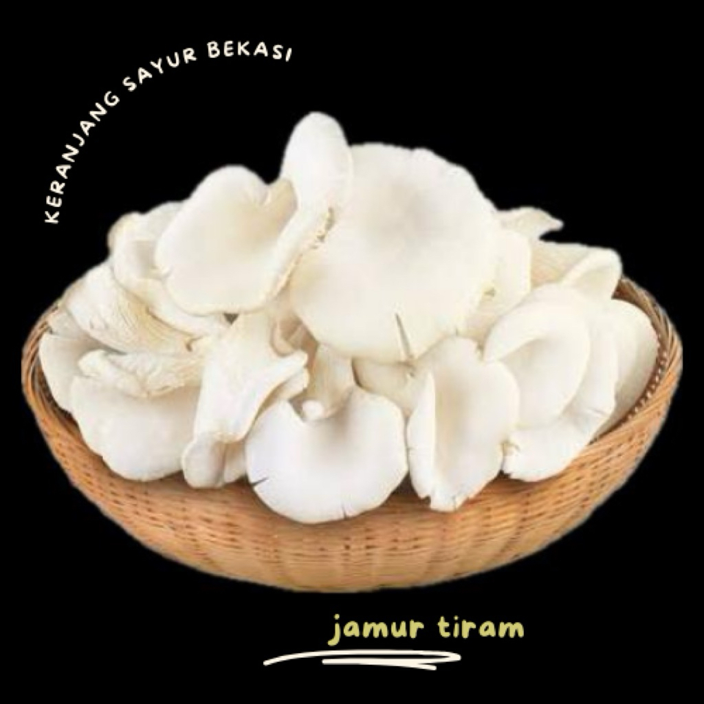 

jamur tiram fresh 250gr
