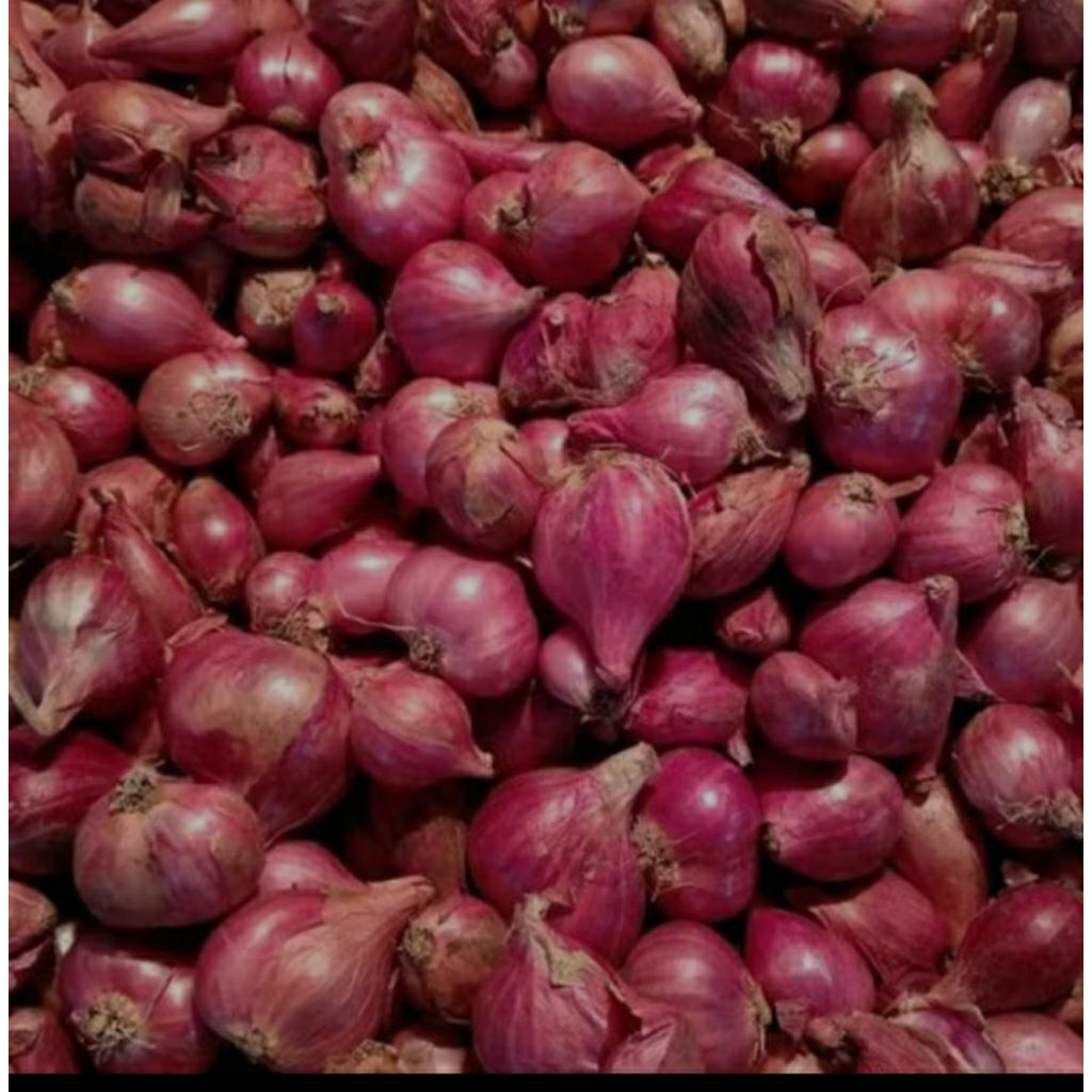 

bawang merah 1 kg