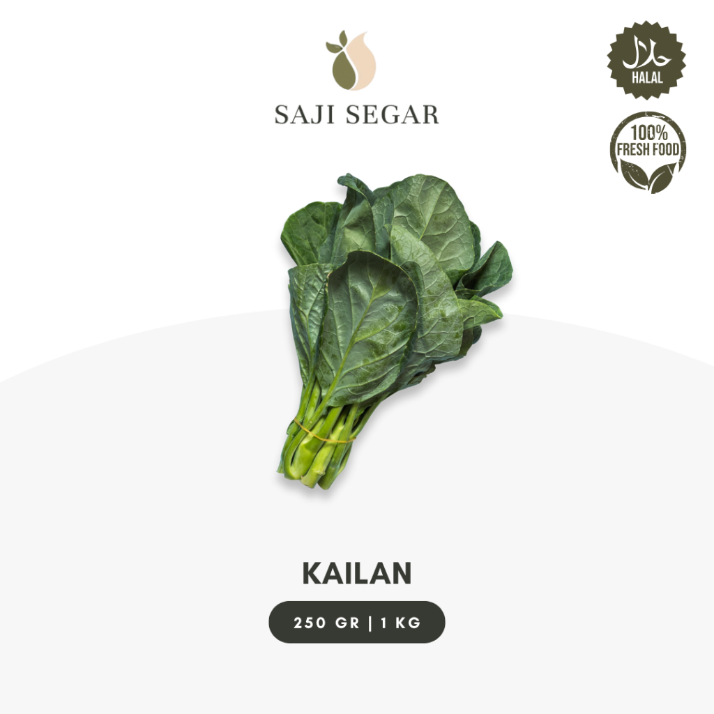 

Saji Segar Kailan Segar Ecer