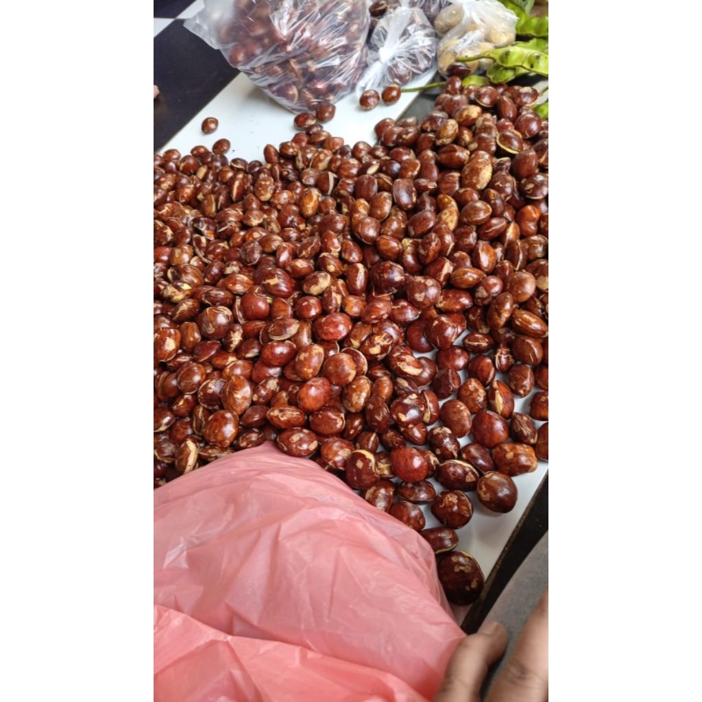 

JENGKOL SEDENG DAN JENGKOL SUPER 1KG