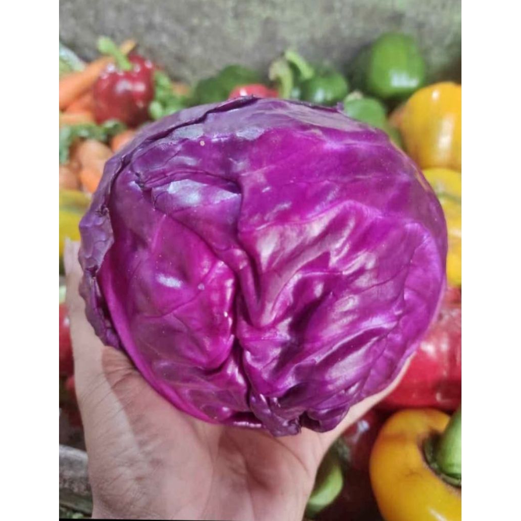 

KOL MERAH (UNGU) 1000gram