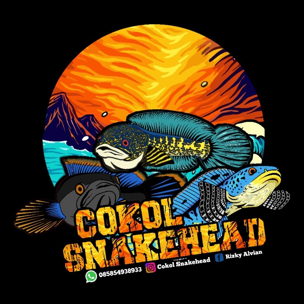 stiker Channa cokol snakehead