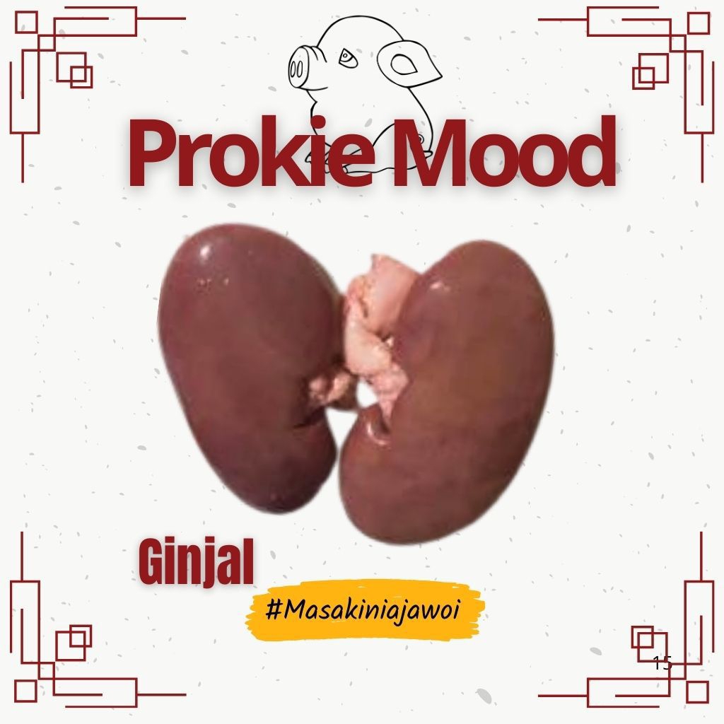 

Ginjal babi 1 pasang