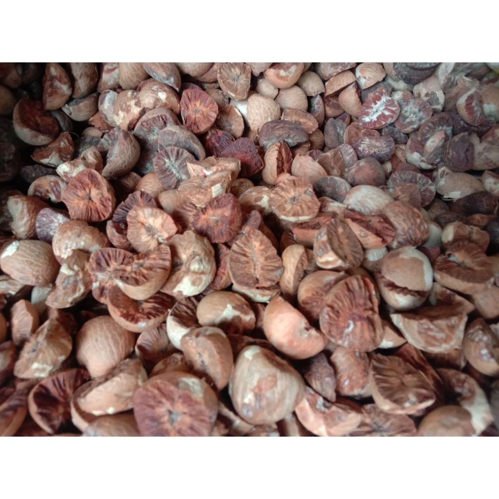 

Buah pinang kering / jambe kering promo 500grm