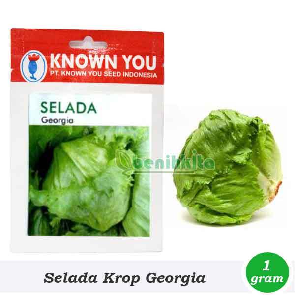 Benih Selada Georgia Head Lettuce | Bibit Sayuran Known-You Seed, Cepat Tumbuh & Panen Seragam