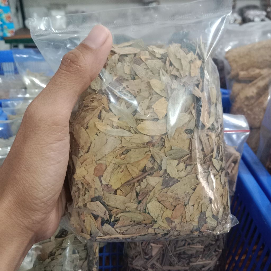 

Daun Jati Cina || Teh Jati Cina || Daun Senna
