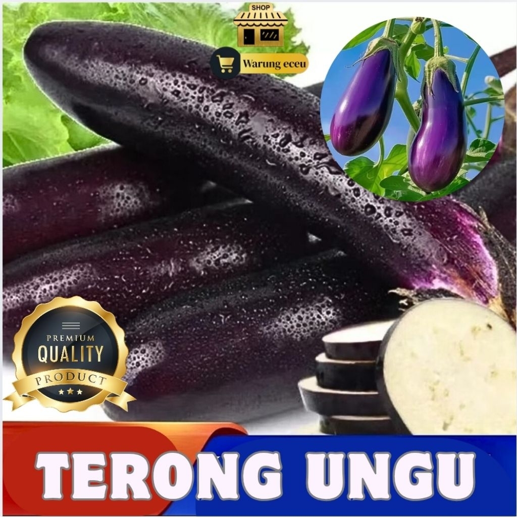 

Terong Ungu Segar | Sayur Terong Ungu Fresh | 500 Gram / 1 Kg