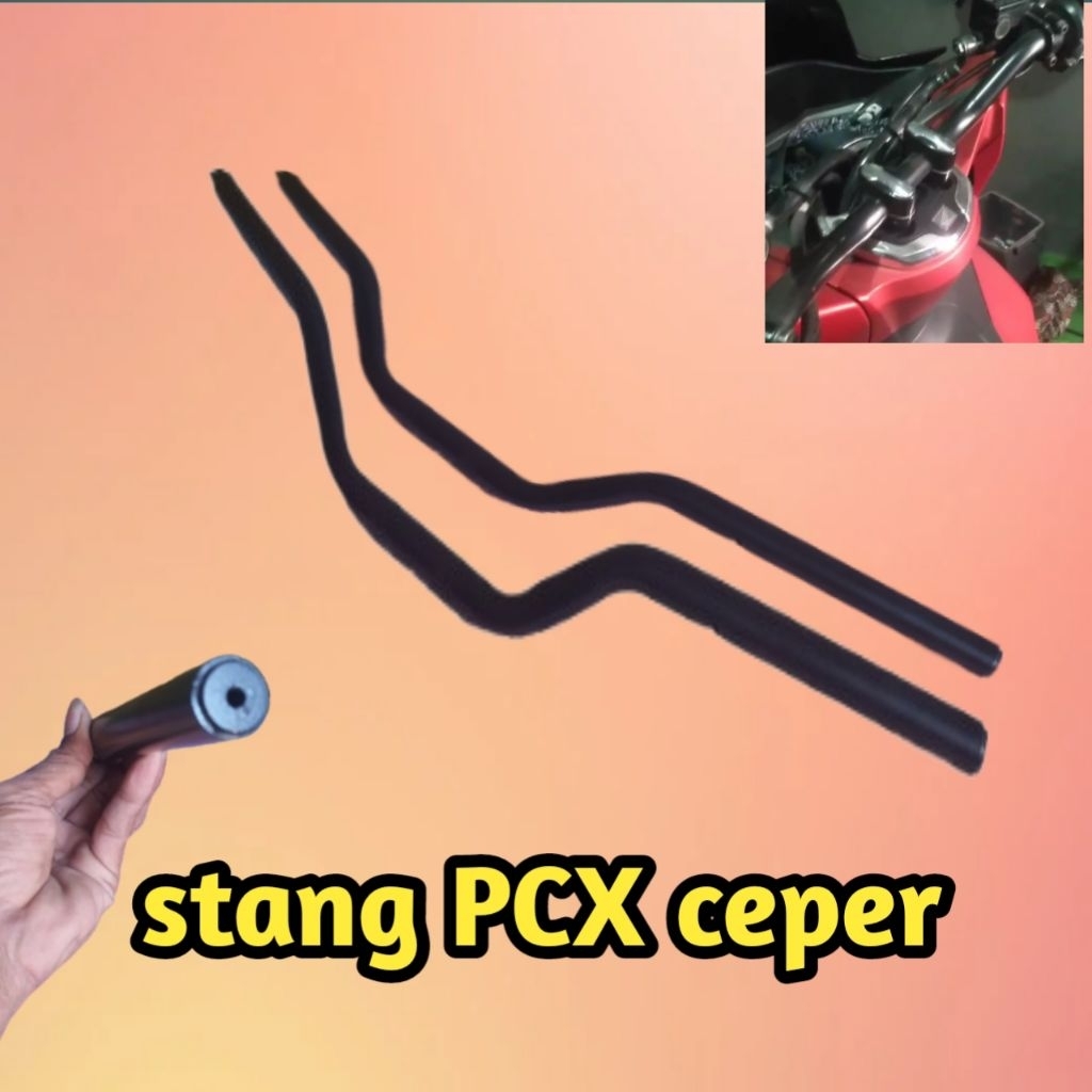 stang motor pcx ceper