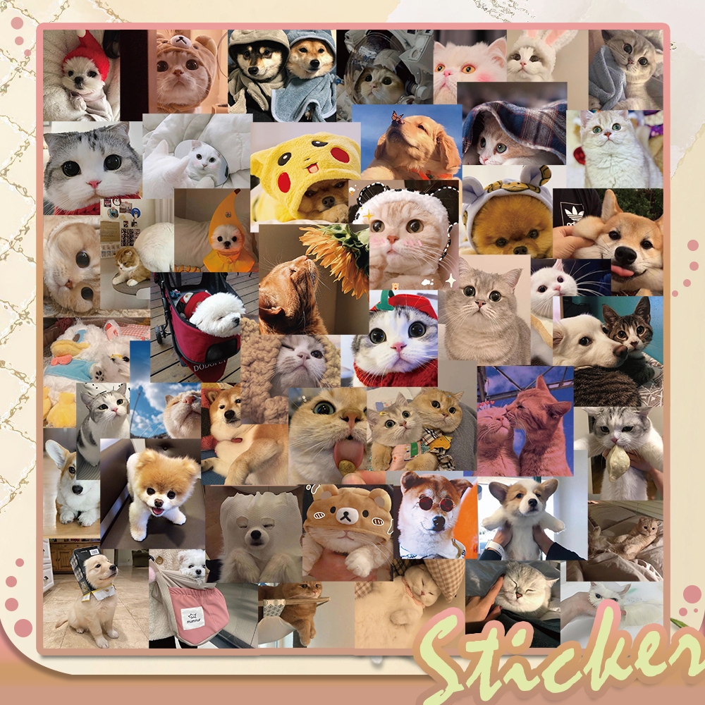 

Stiker baru 48PCS DIY gambar lucu kucing anjing Cocok untuk Helm/skateboard/Laptop/Stiker Scrapbook tahan air/HP/Rak ponsel/kulkas/Koper/Gelas/sepeda motor/dinding/bumper