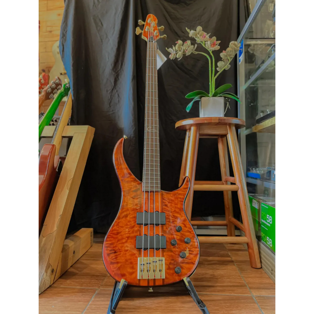 PEAVEY CIRRUS BXP 4STRING BASS
