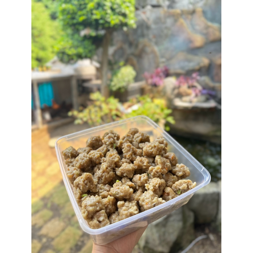 

PENTOL KRIWIL TETELAN DAGING SAPI GURIH LEZAT BERGIZI