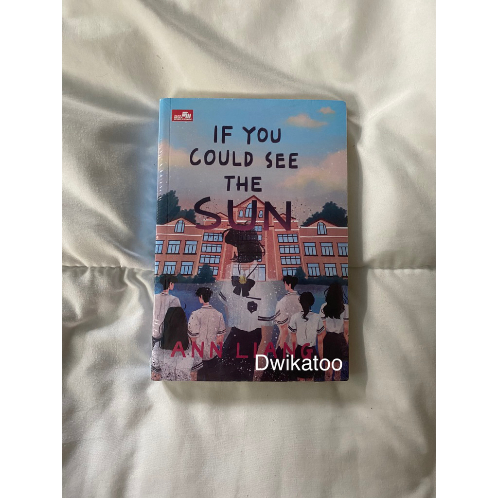 if you could see the sun