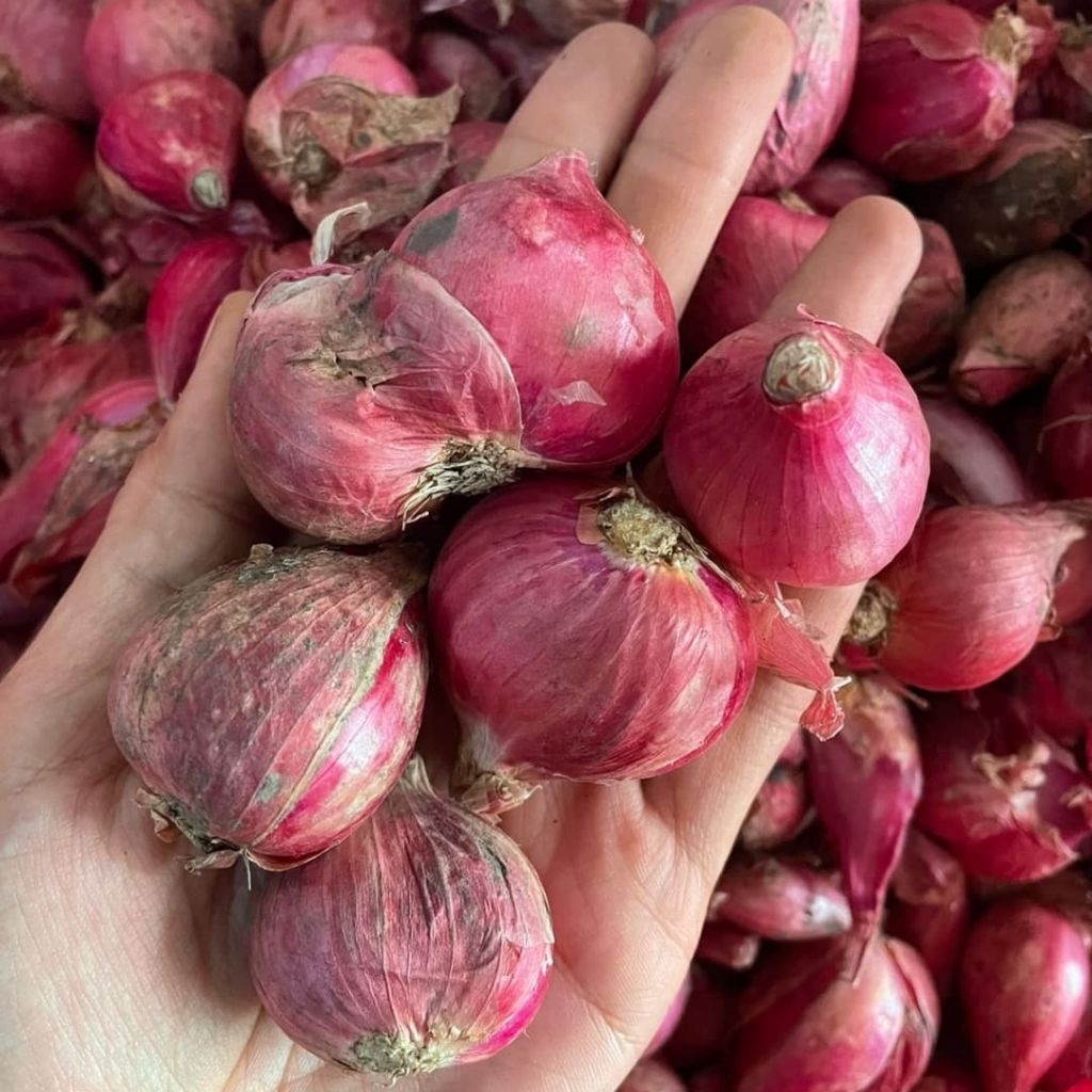 

Bawang Merah Brebes Super Kering Berat 1Kg