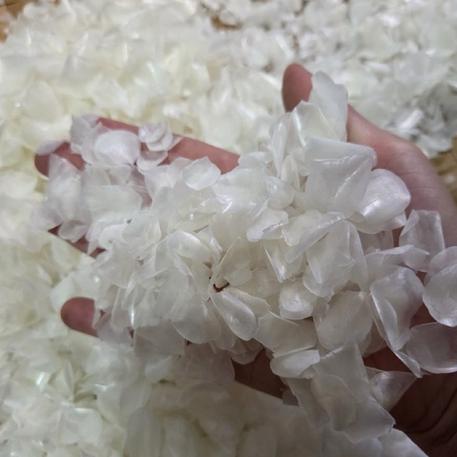 

Sisik Ikan sz SEDANG (250gr, 500gr, 1000gr)