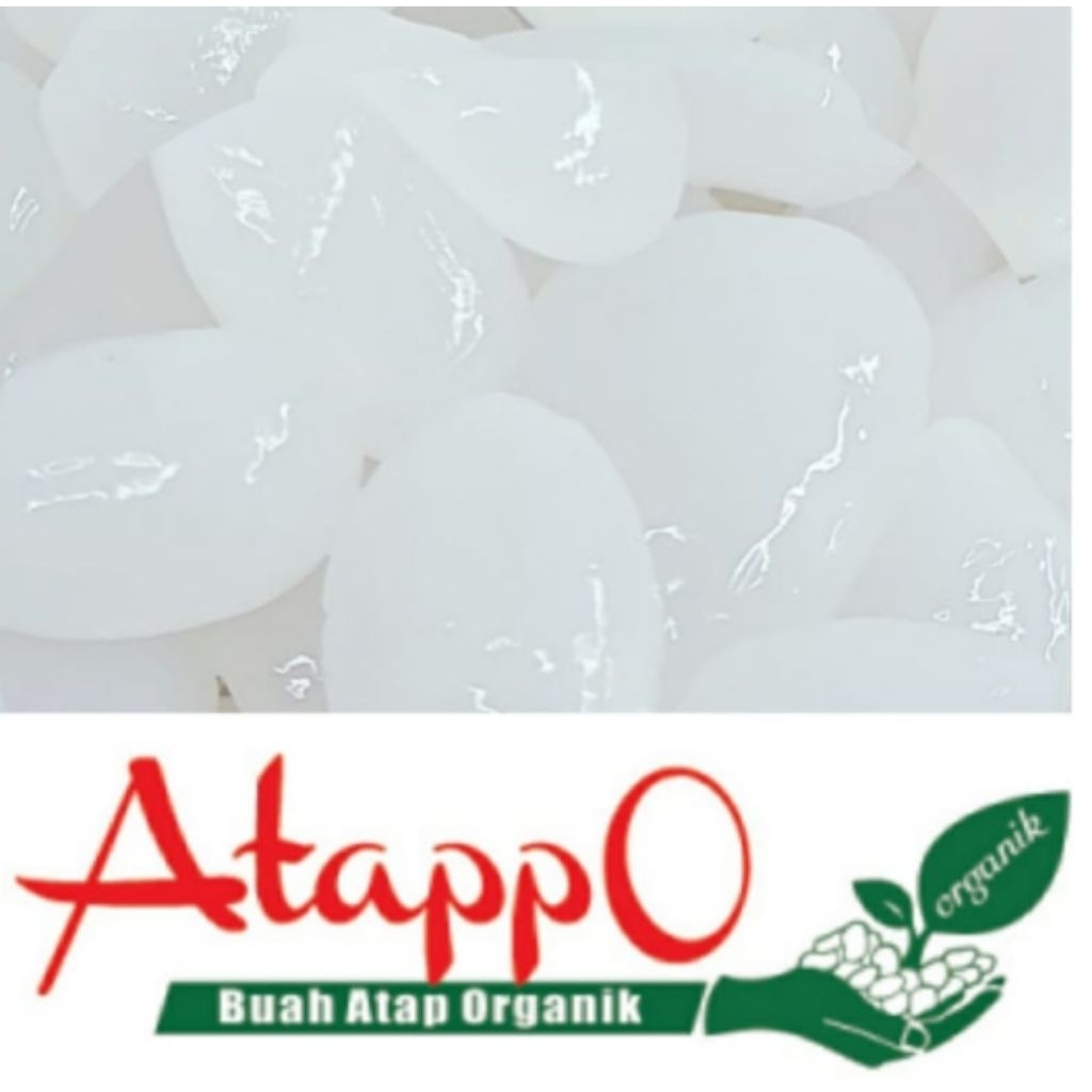 

Atappo Kolang Kaling Organik