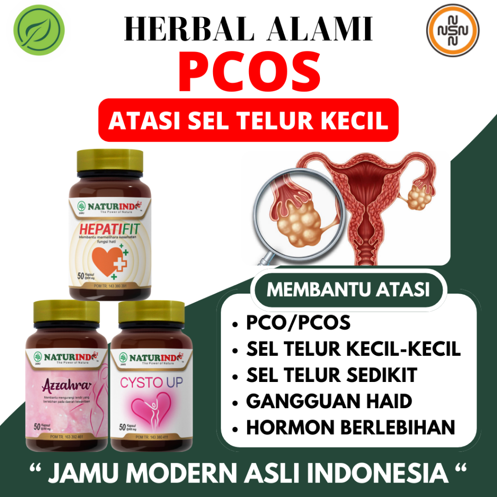 Herbal Promil PCOS Polycystic Ovarian Syndrome Sel Telur Kecil Program Hamil Naturindo