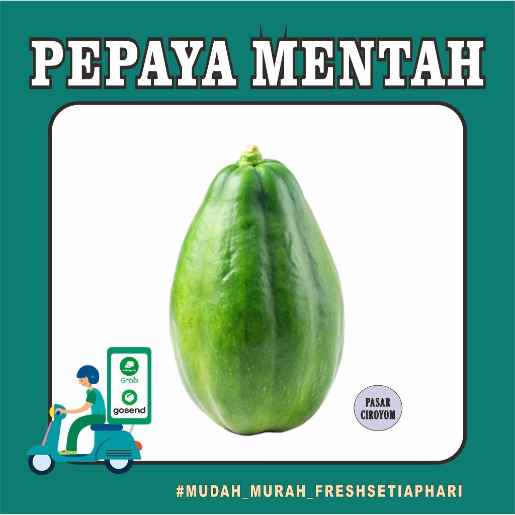 PEPAYA MUDA | PEPAYA SAYUR SEGAR