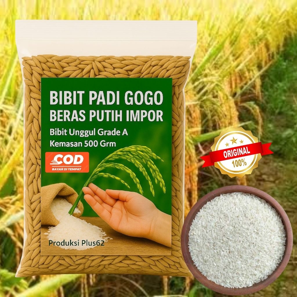 Bibit Padi Gogo Pulen Impor - Padi Beras Putih Unggul Hemat 500 Grm