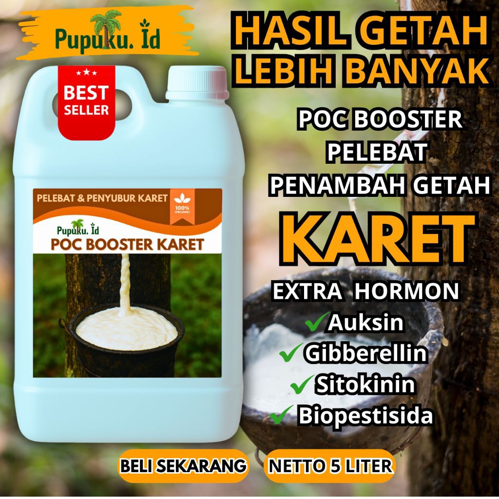 Pupuk karet penambahan getah | pupuk getah karet mati | pupuk tanaman karet | pupuk karet mati getah