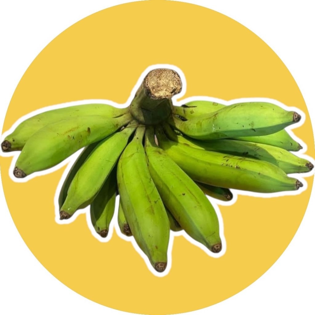 

Pisang raja nangka [bergaransi]