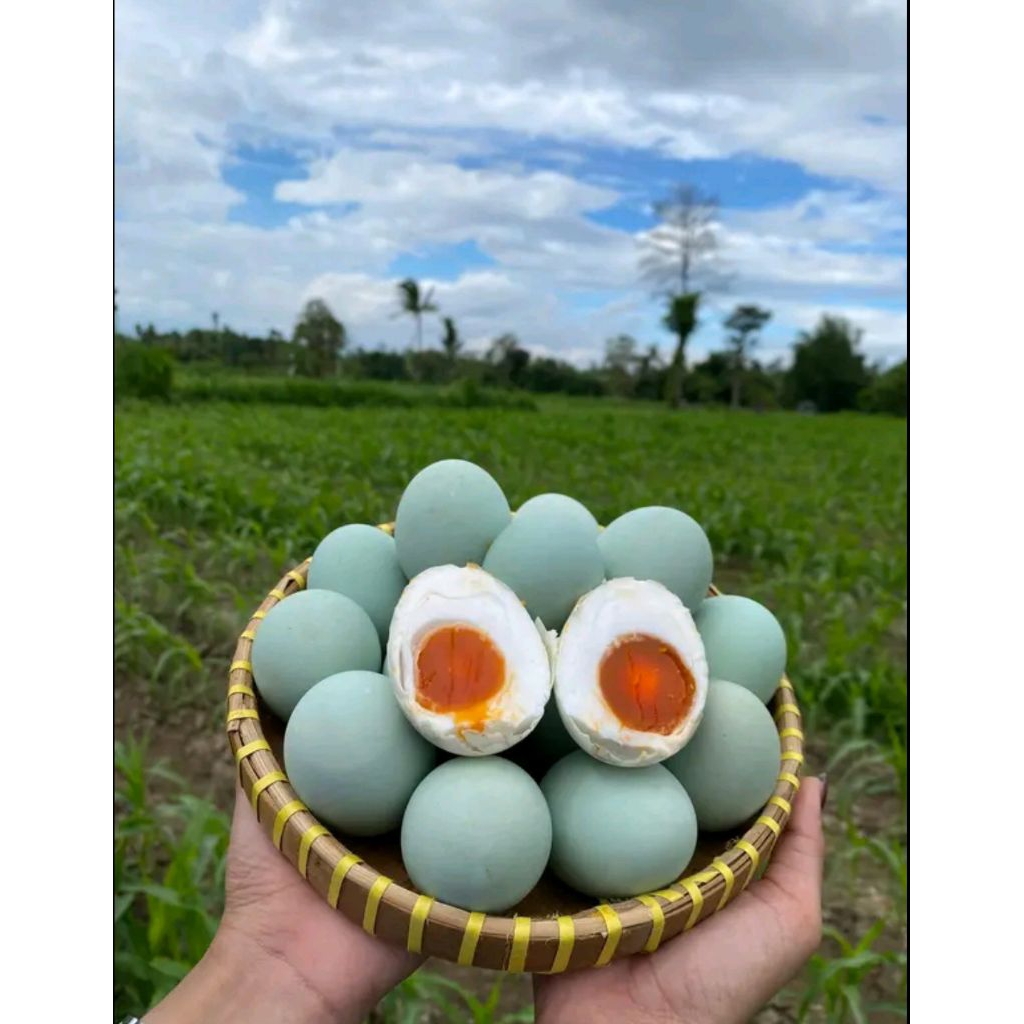 

Telur Asin Asli – Premium Rasa Gurih Legit isi 10 butir