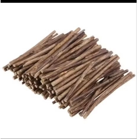 

10 BATANG RANTING KAYU UNTUK BAHAN KERAJINAN PRAKARYA