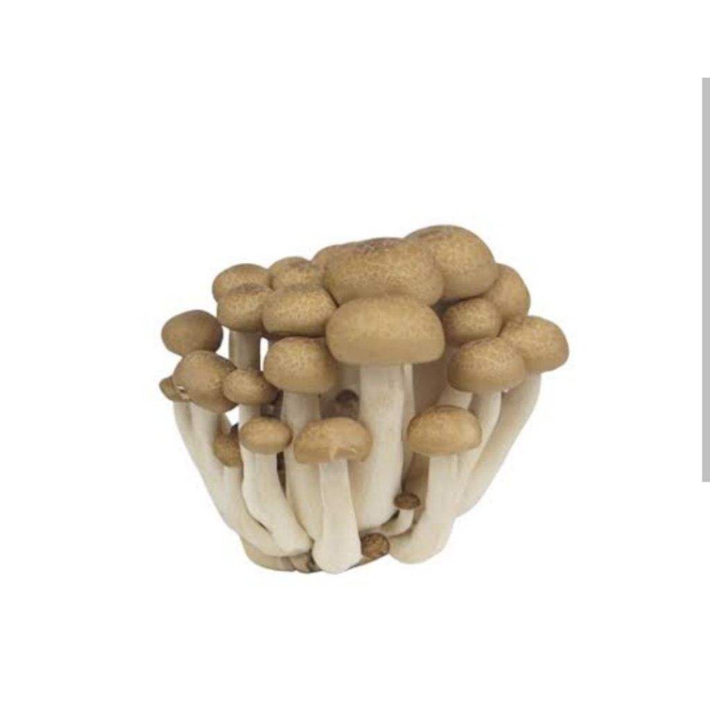 

JAMUR SHEMIJI SAYUR SEGAR PALEMBANG