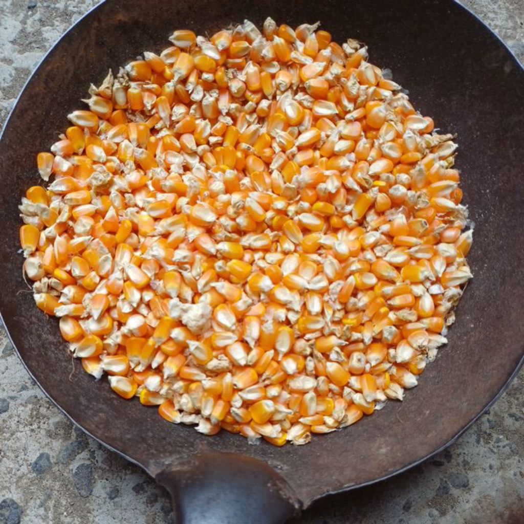 

Jagung Pipil kualitas Premium