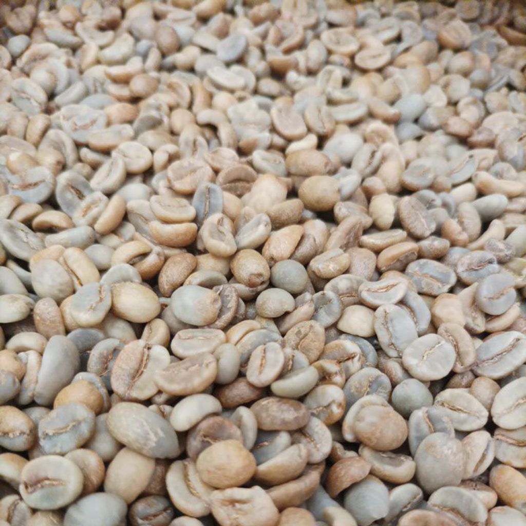 

Biji Kopi Arabica Arabika Green Bean Mentah Malabar Natural Anaerob Hermetically Sealed Process Specialty Grade