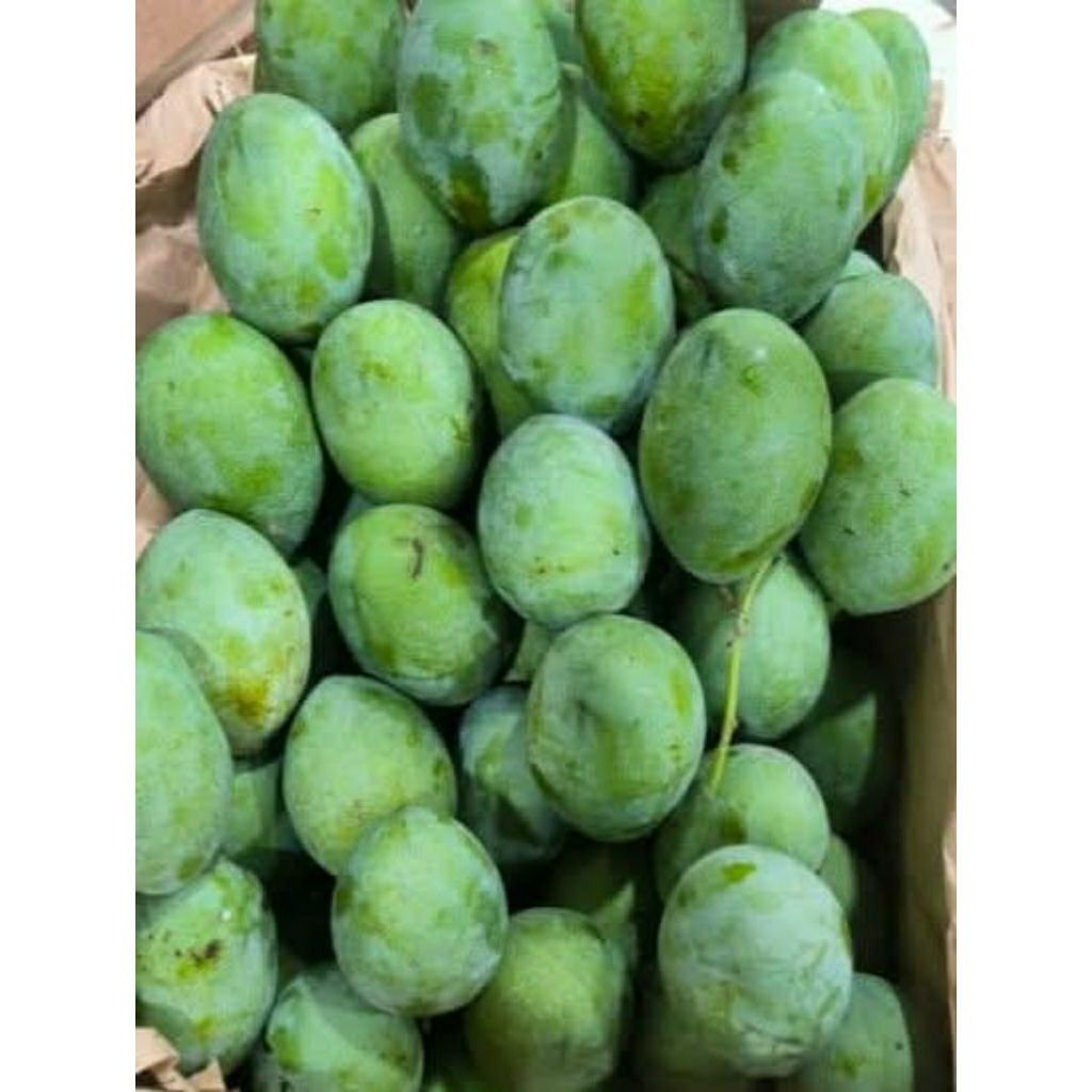 

murah.... mangga madu renteng ( 20.000) perkilo