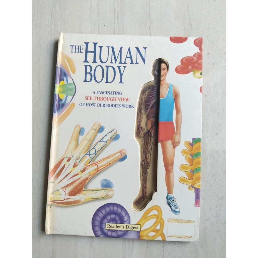 The Human Body