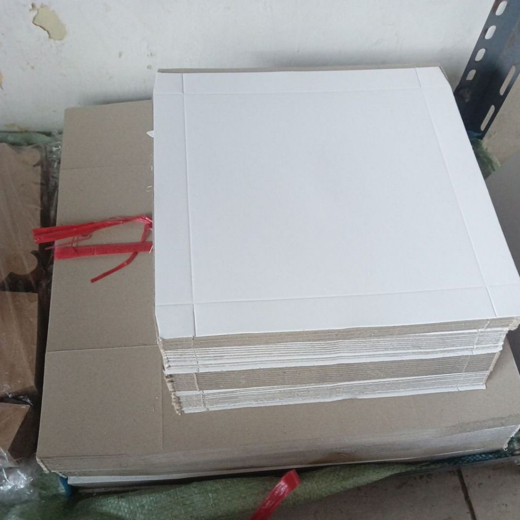 

Dus Nasi 20x20 putih Cotit