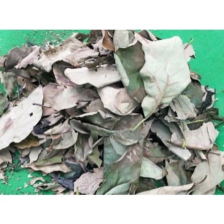 

Daun Alpukat Kering 100 gram/Daun Alpukat Kering 250 gram 100% Organik