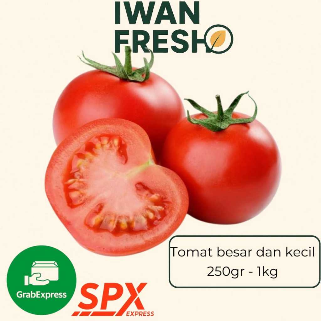 

Fresh Tomatoes / Tomat Segar Bali – Large & Small Size
