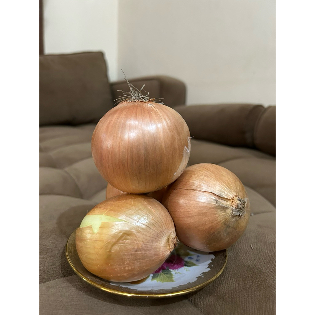 

Bawang Bombay Super Jumbo 1 Kg
