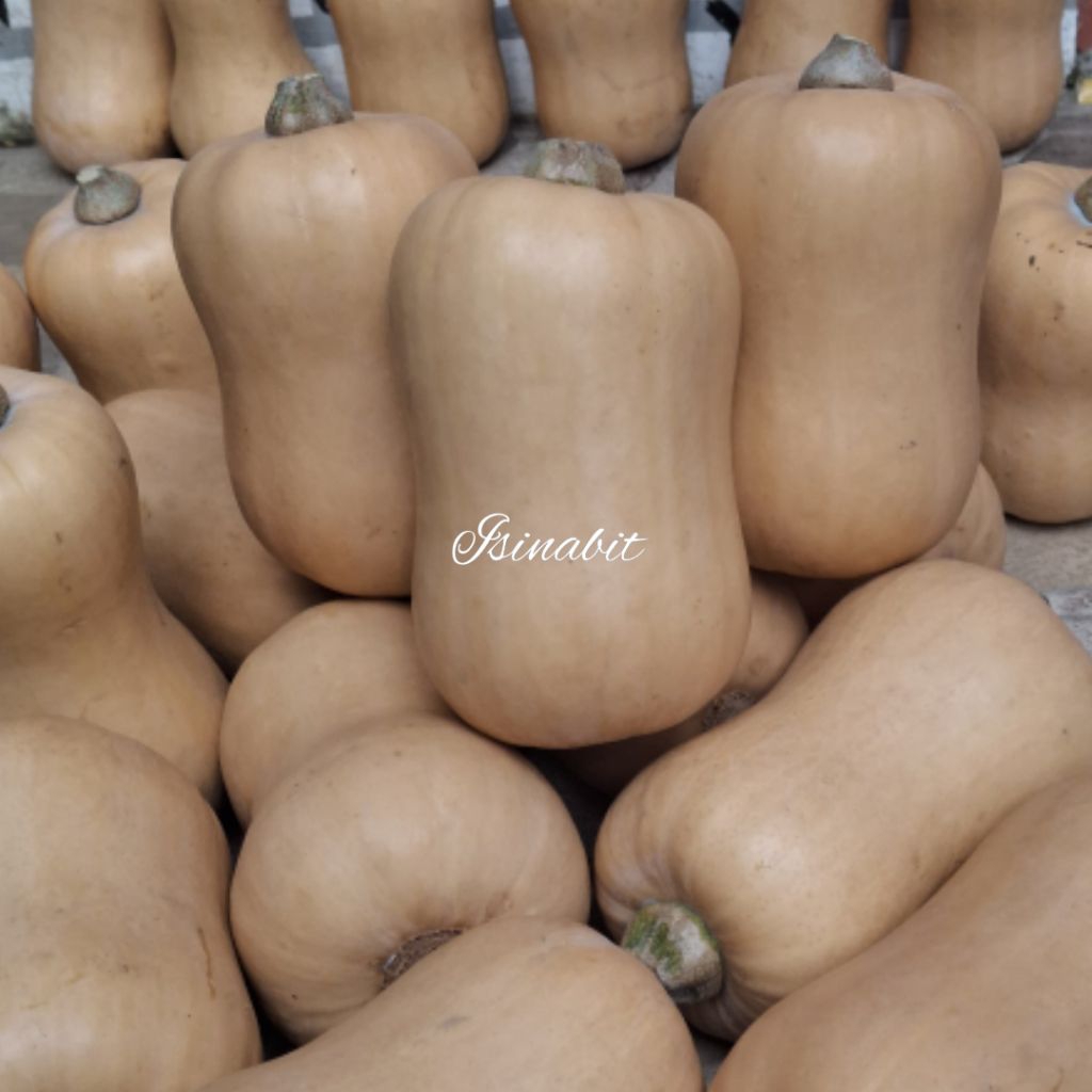

Labu Madu/Butternut Squash Jacqueline ±1kg – Labu Premium Kaya Nutrisi