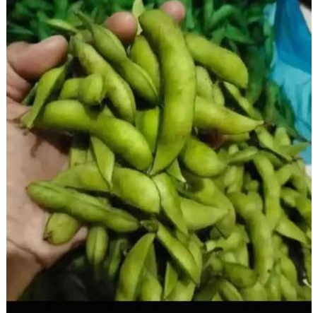 

edemane premium fresh dan segar netto -/+1000gr