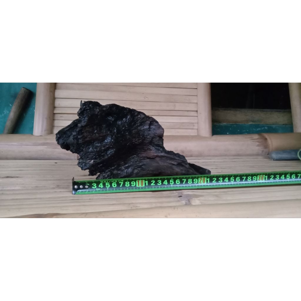 kayu rentek dekorasi aqwarim/ aquascape tenggelam