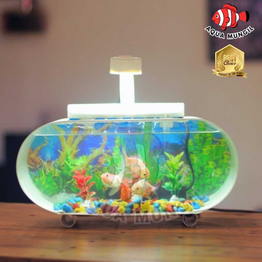 Aquarium Mini Cupang Full Set Dengan Pompa Dan Aquarium Akrilik Fullset