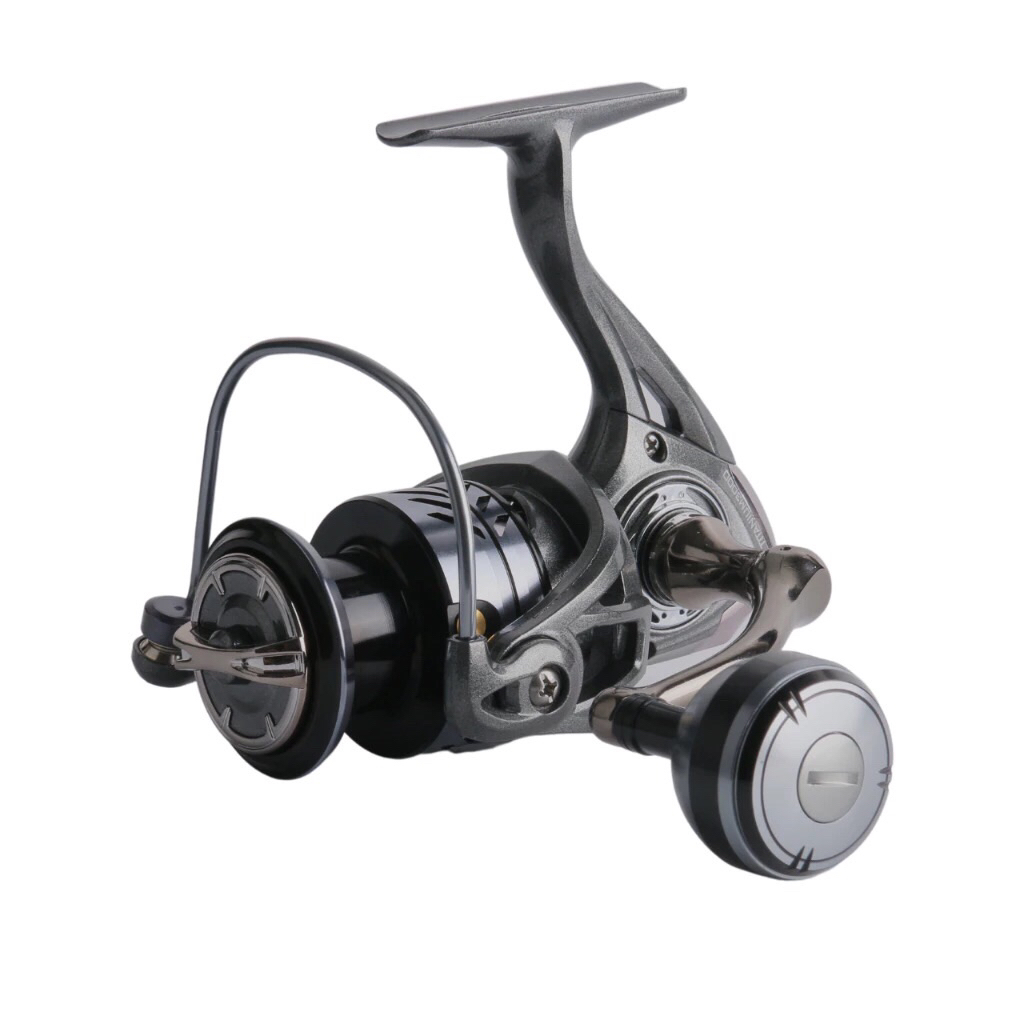 Reel Seakings Titanium 1000