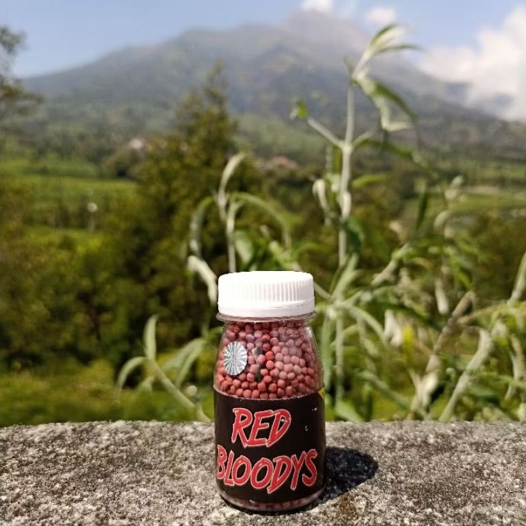 Pelet Ikan Channa Red Bloodys Menaikan Warna Red Maru, Limbata, Auranti, Stewarti, Andrao, Barca, Pu