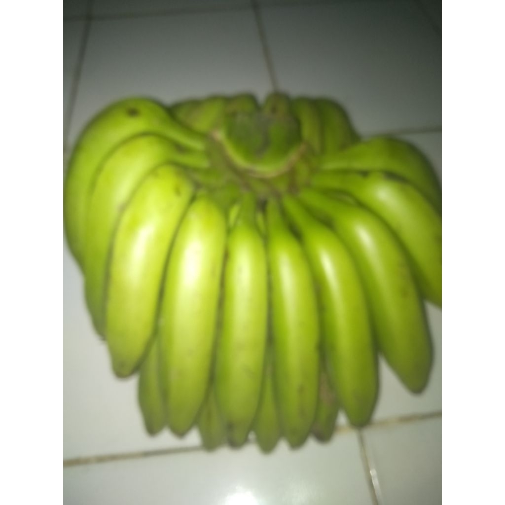 

pisang uli 1 sisr