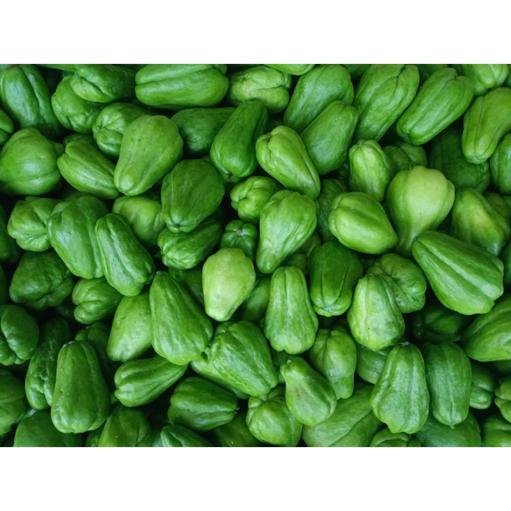 

labu siam segar fresh/labu jipang/labu cina ukuran kecil