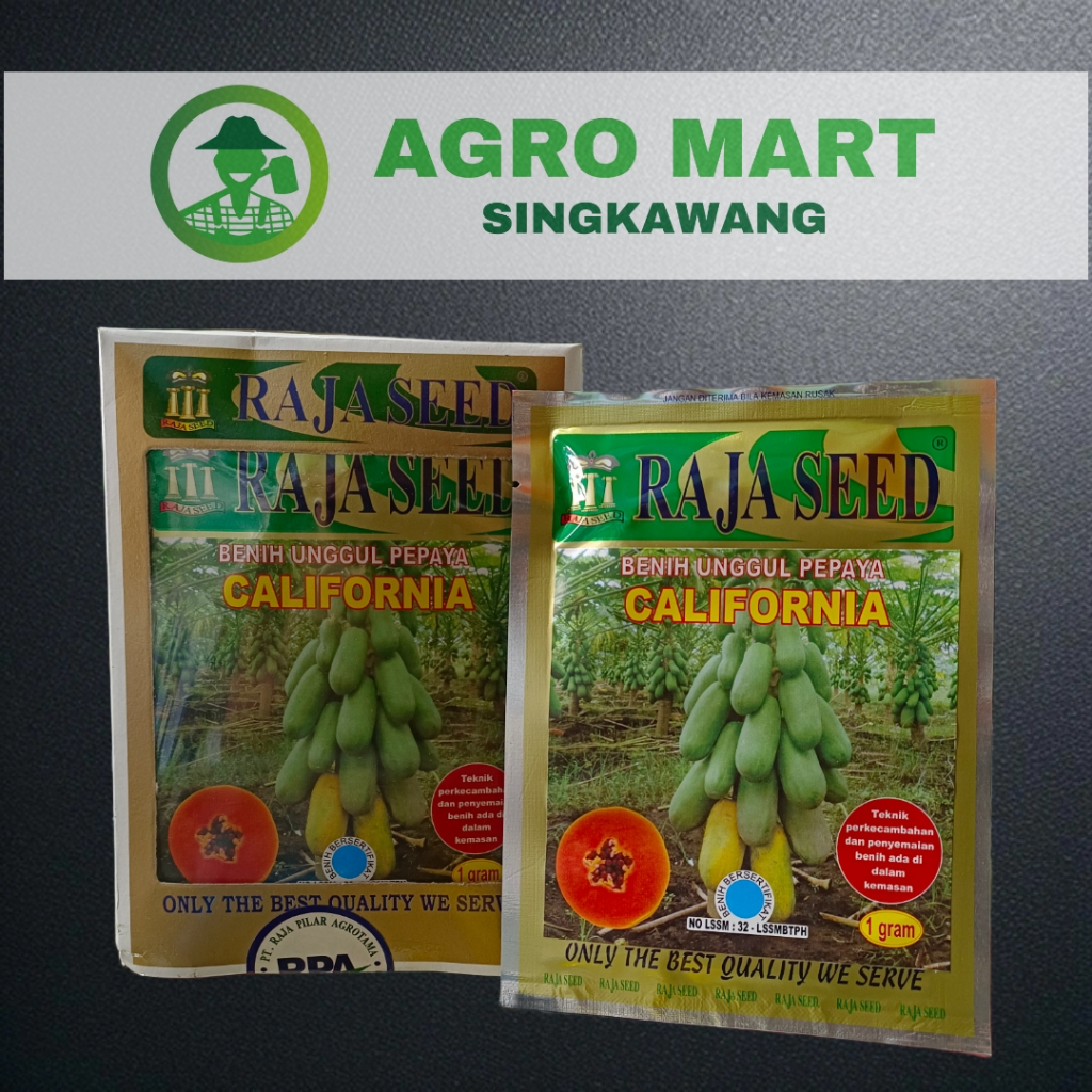 Benih pepaya california benih kates raja seed 1 gram